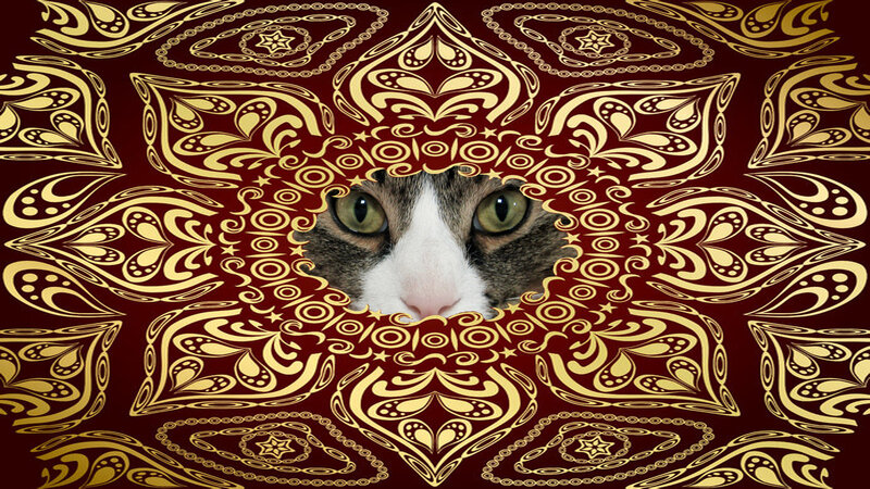 Cat with Mandala Pattern
