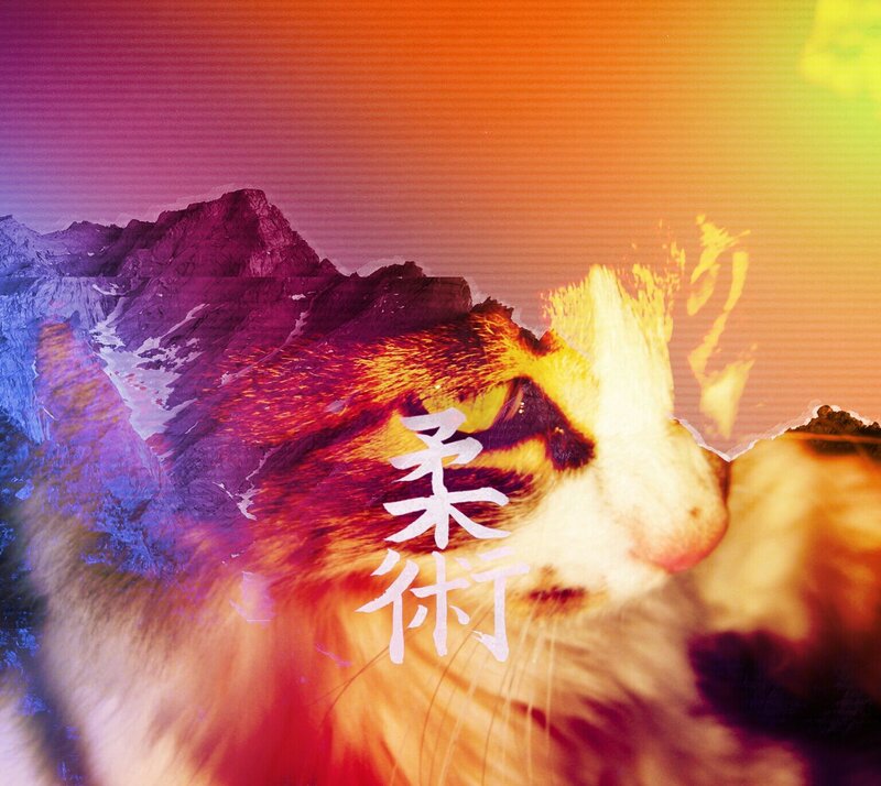 Cat with Mountain Backdrop