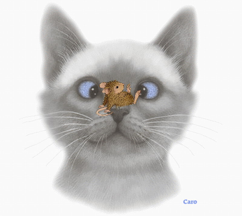 Cat with Mouse on Nose