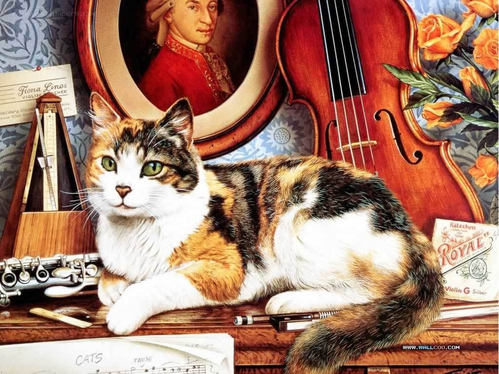 Cat with musical instruments