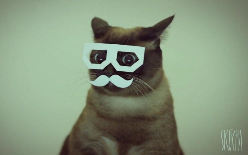 cat with paper glasses and mustache
