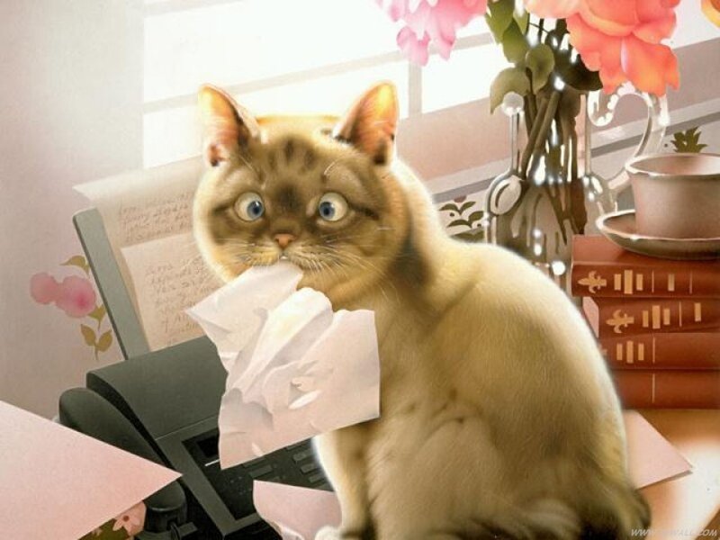 Cat with Paper in Mouth — Beige, Calm