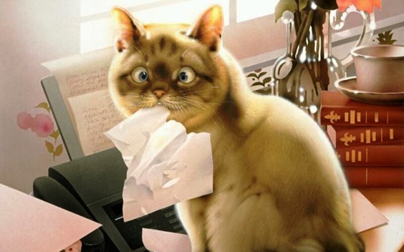 Cat with Paper in Mouth