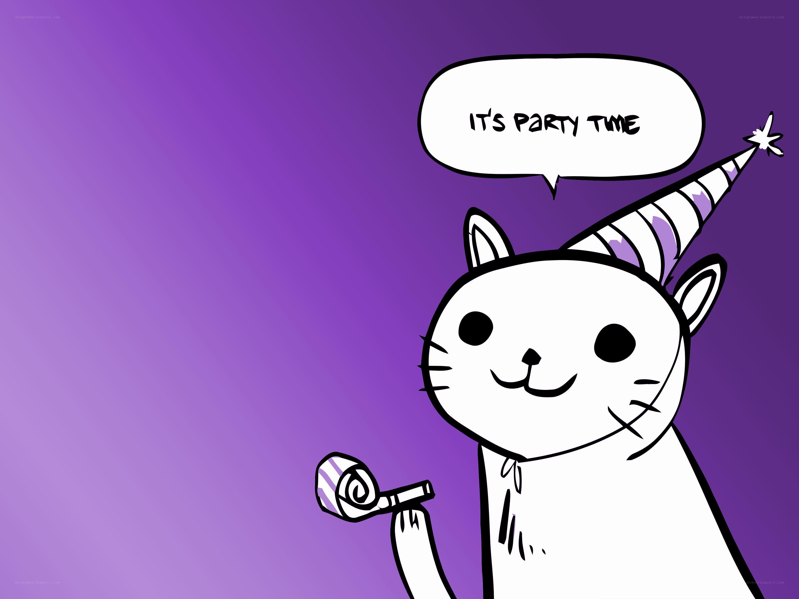 cat with party hat
