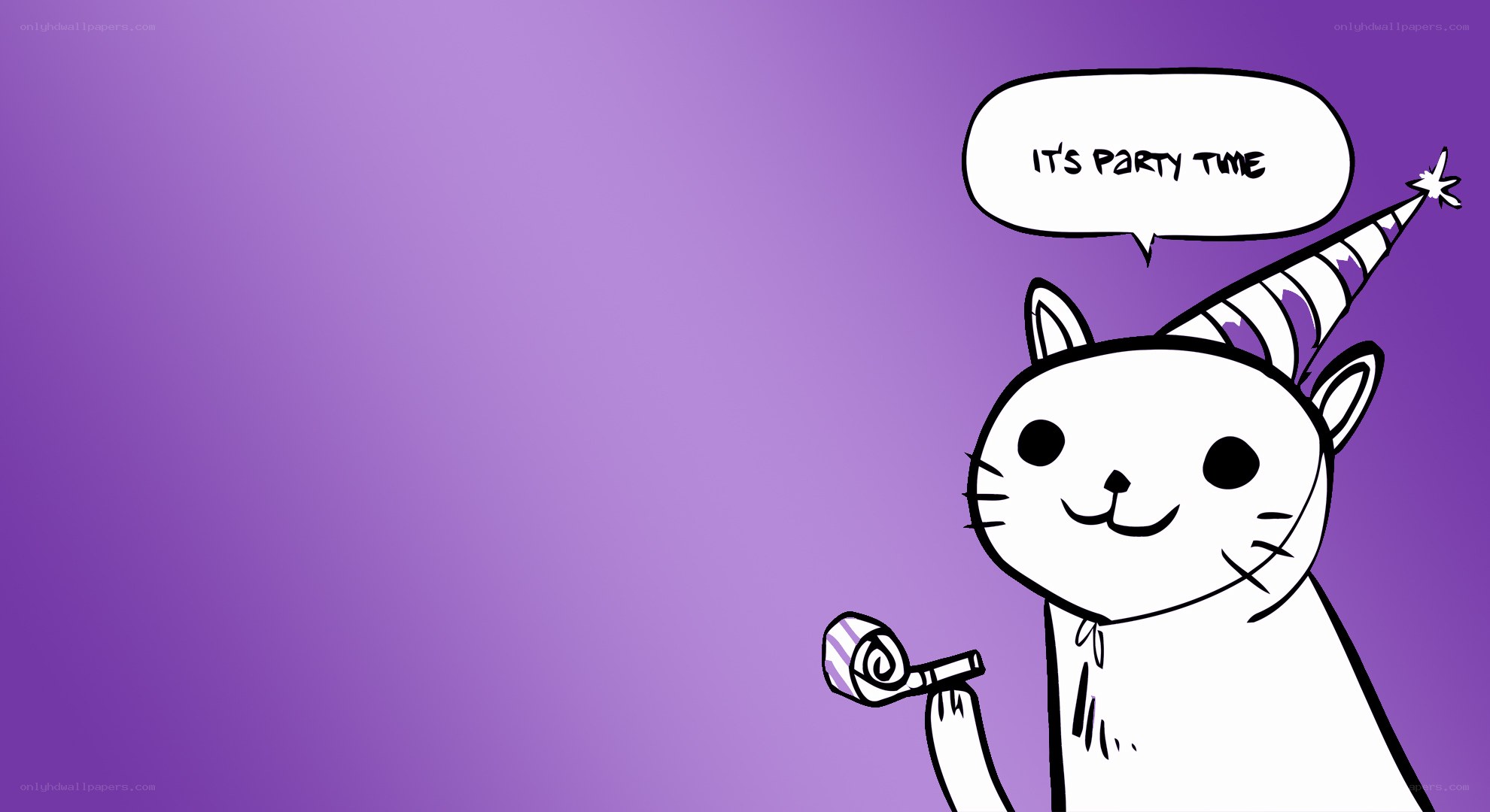 cat with party hat