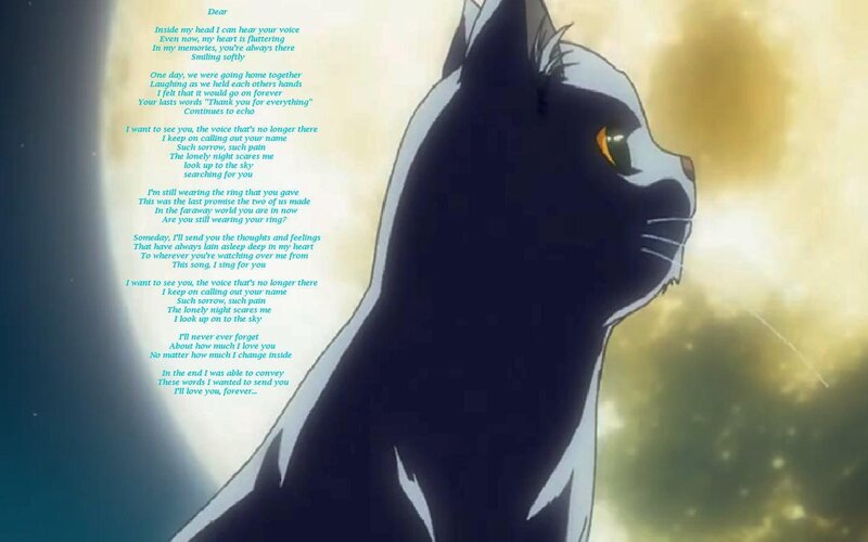cat with poem on screen