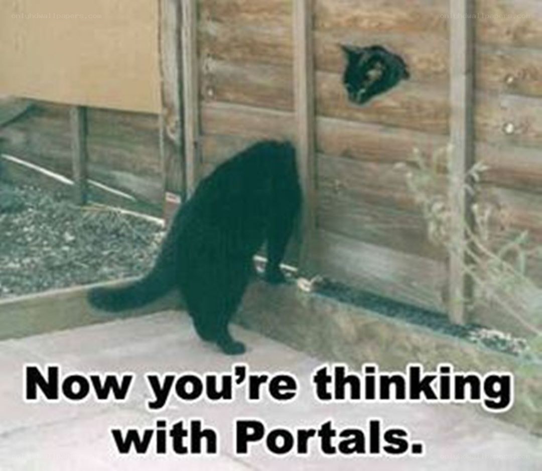 cat with portals