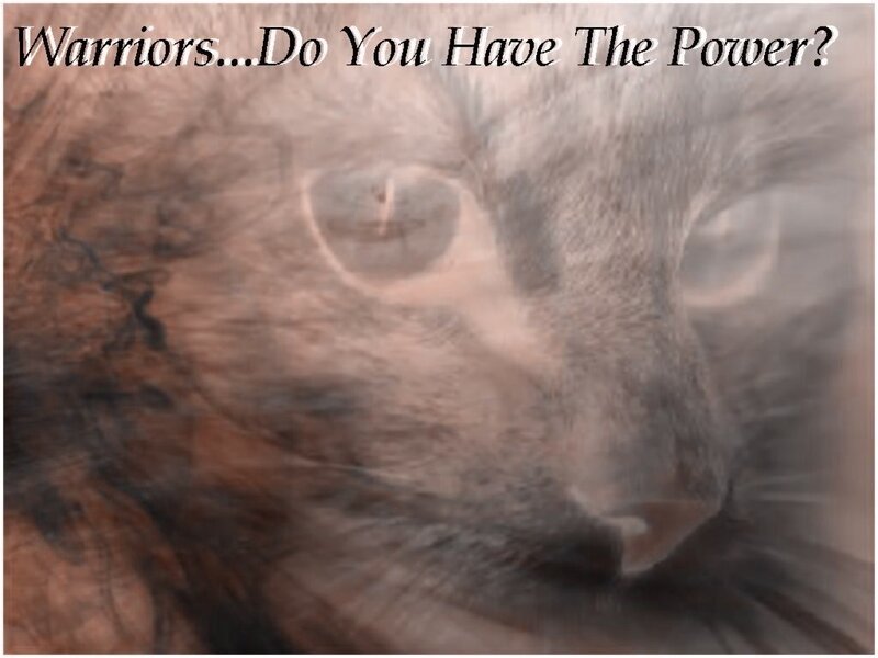 Cat with power question