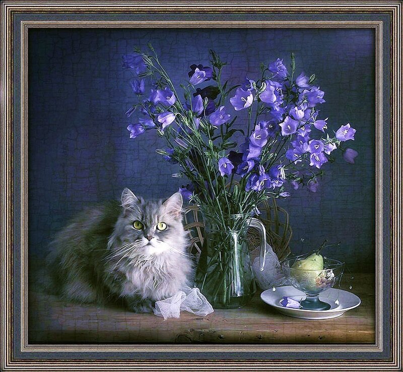 Cat with purple flowers