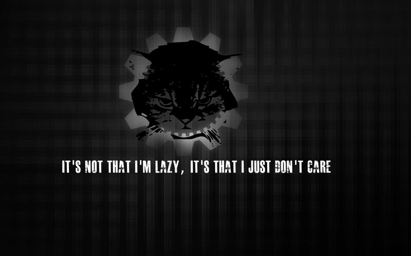 cat with quote wallpaper