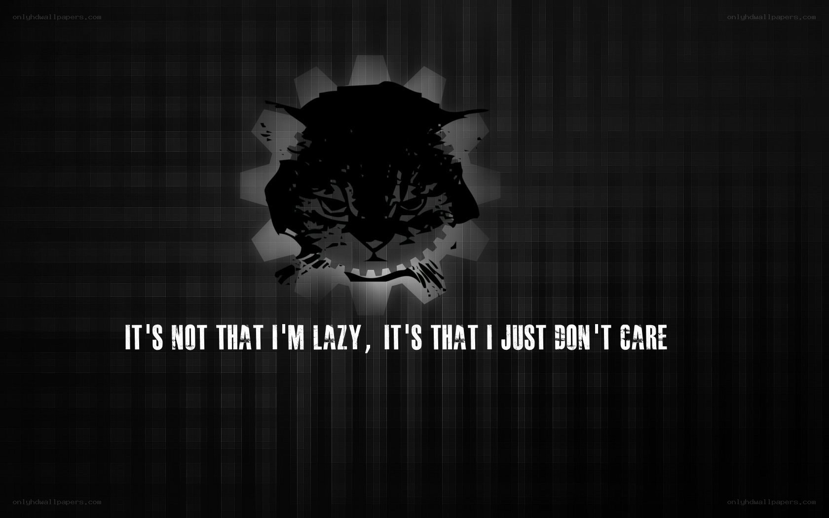 cat with quote wallpaper