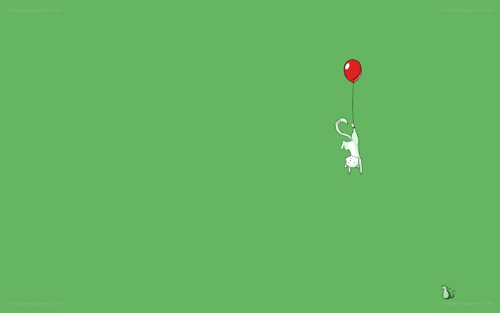 cat with red balloon