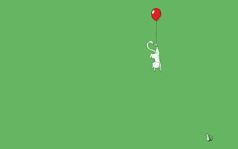 cat with red balloon