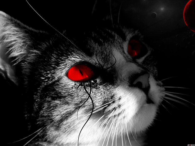 Cat with Red Eyes — Black