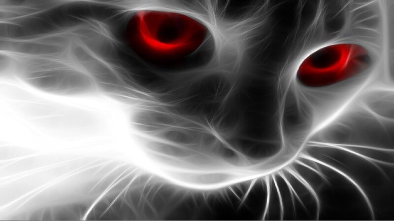 Cat with Red Eyes — Dramatic