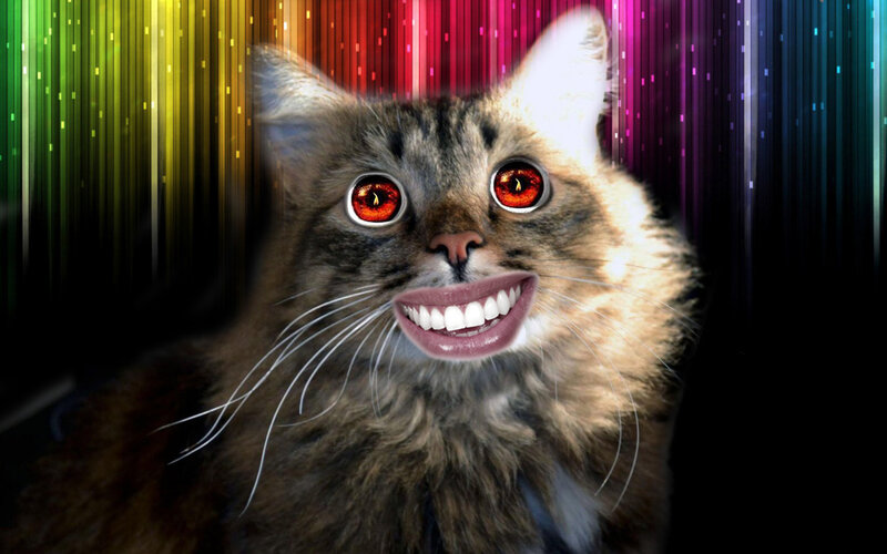 Cat with Red Eyes — Surreal