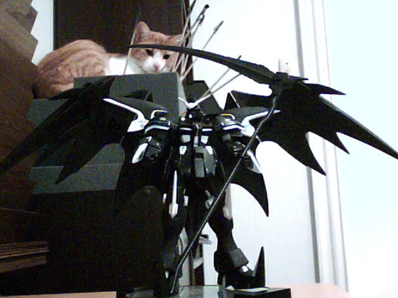 cat with robot model