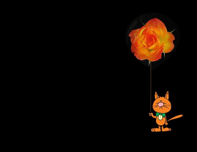cat with rose balloon