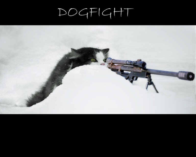cat with sniper rifle