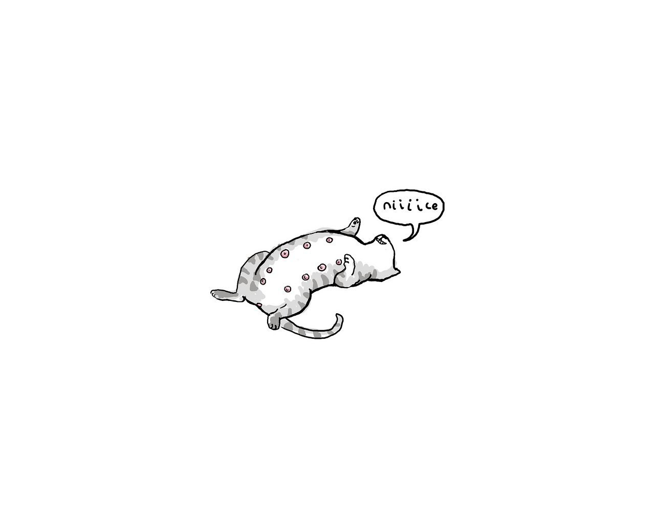 cat with spots