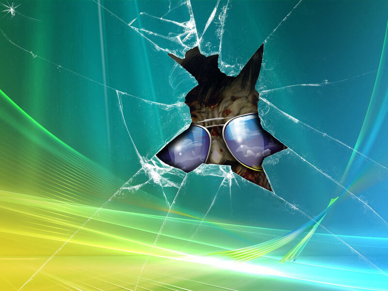 cat with sunglasses through broken glass