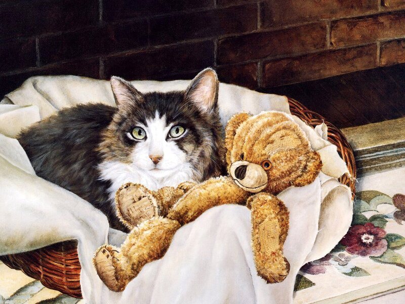 Cat with Teddy Bear