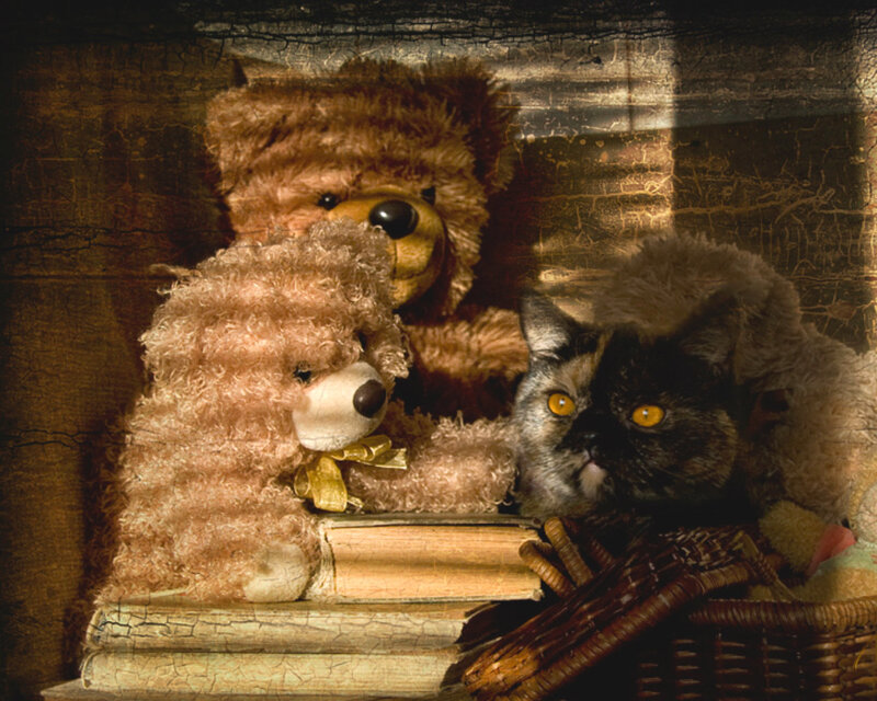 Cat with Teddy Bears