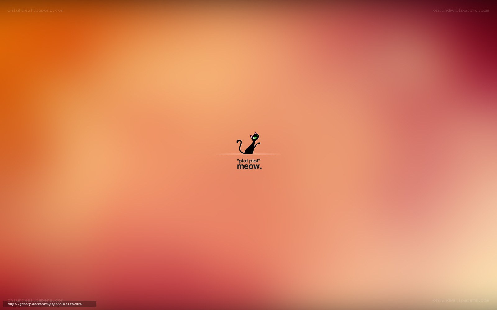 cat with text on gradient