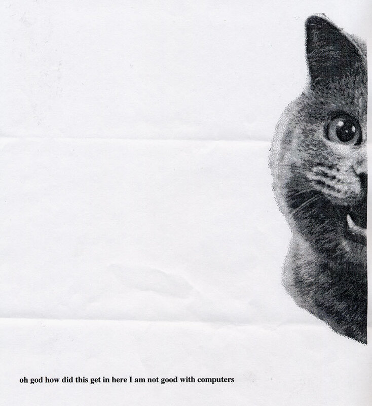 cat with text on paper