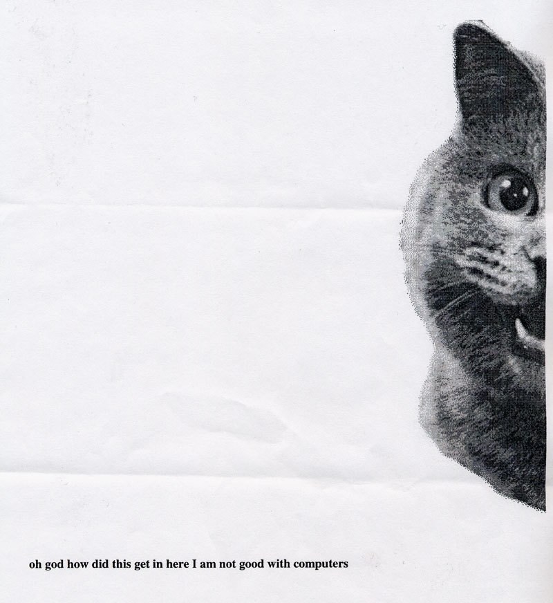 cat with text on paper