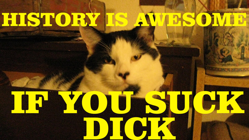 cat with text overlay
