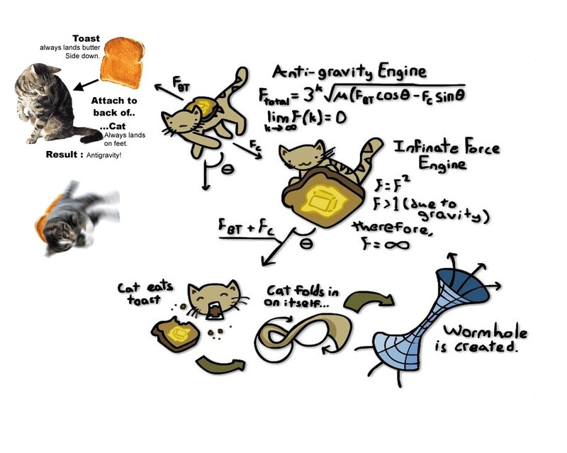 Cat with Toast