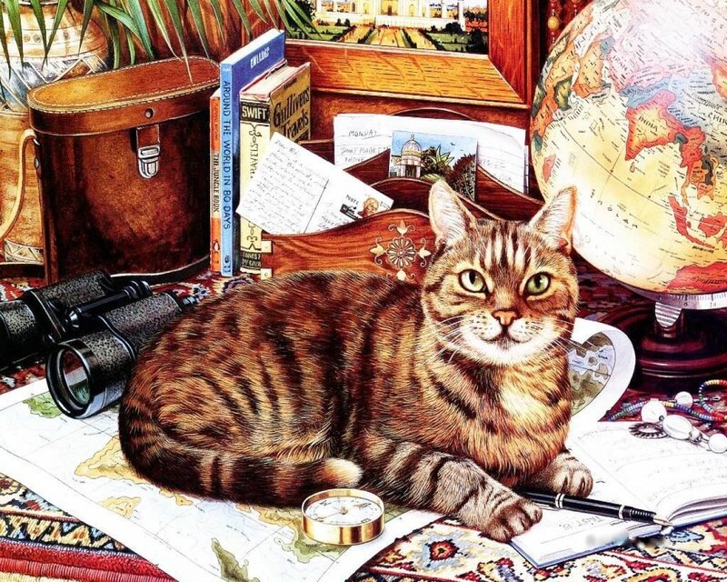 cat with travel items