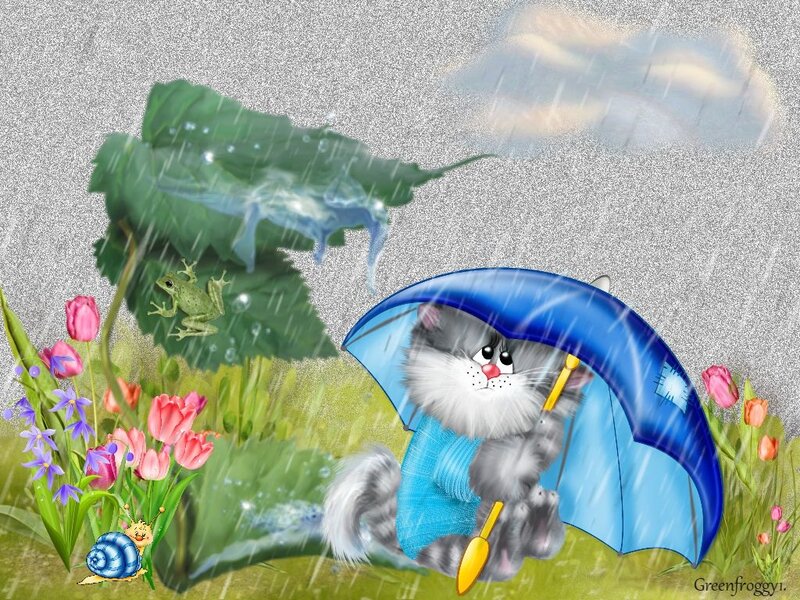 Cat with Umbrella in Rain