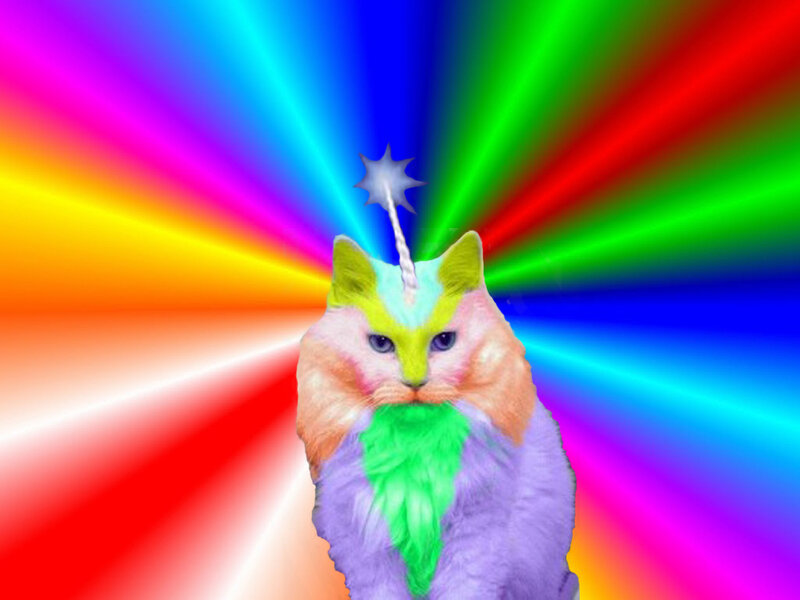 Cat with Unicorn Horn