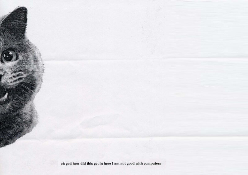 Cat with Wide Eyes — Gray