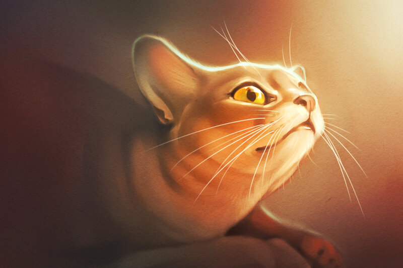 Cat with Yellow Eyes — Orange