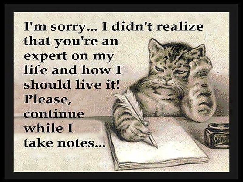 Cat Writing with Quill