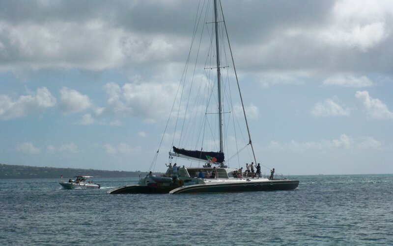Catamaran Sailboat