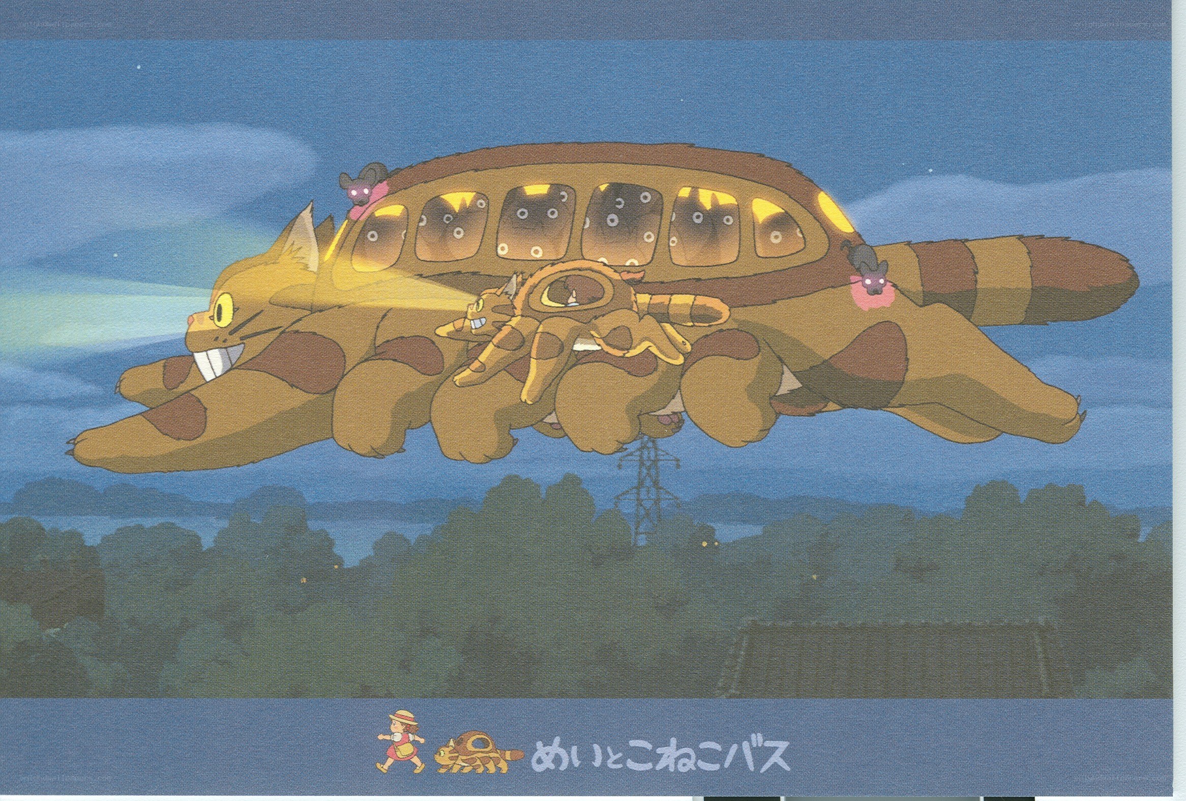 Catbus flying at night