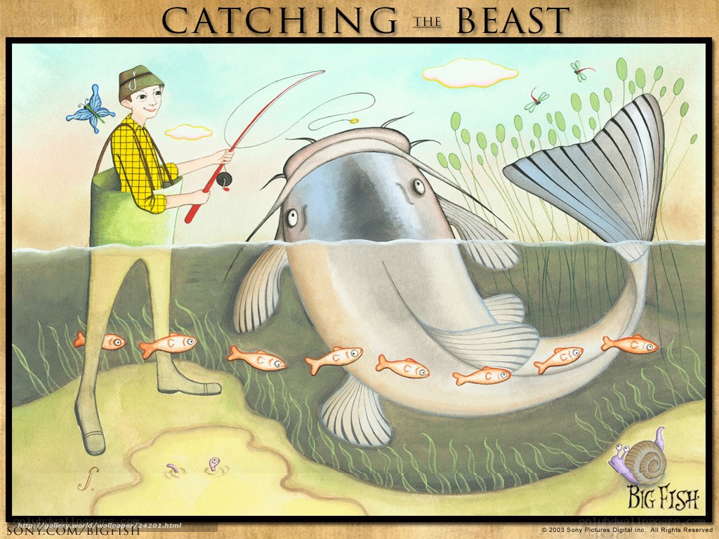 Catching the Big Fish