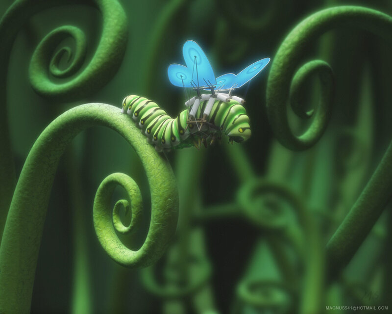 caterpillar with blue wings