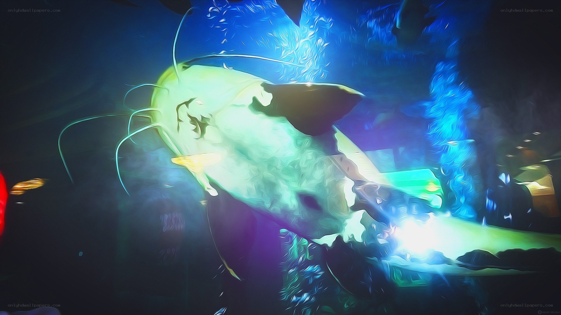 catfish in blue light