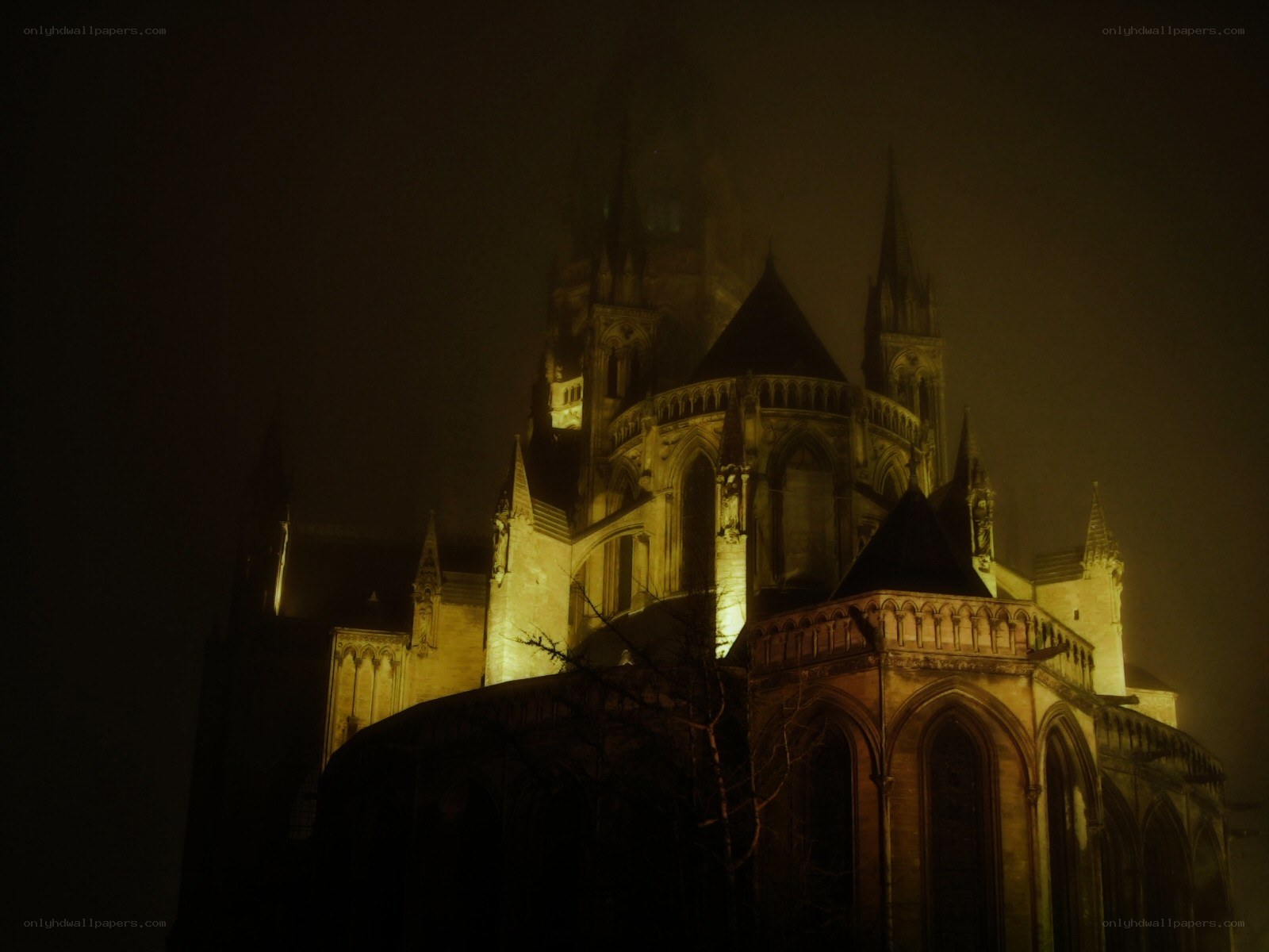 Cathedral at night in fog