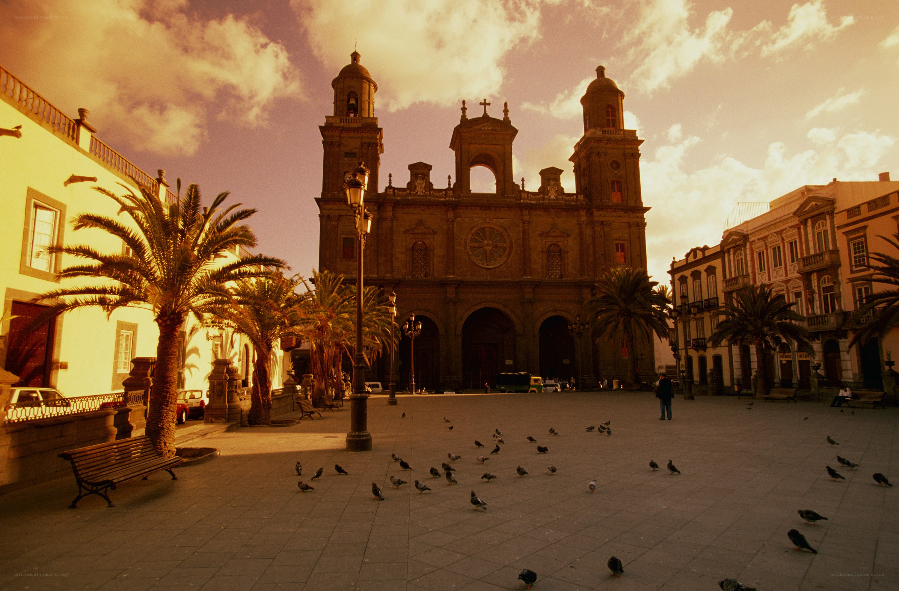 Cathedral in a sunlit plaza