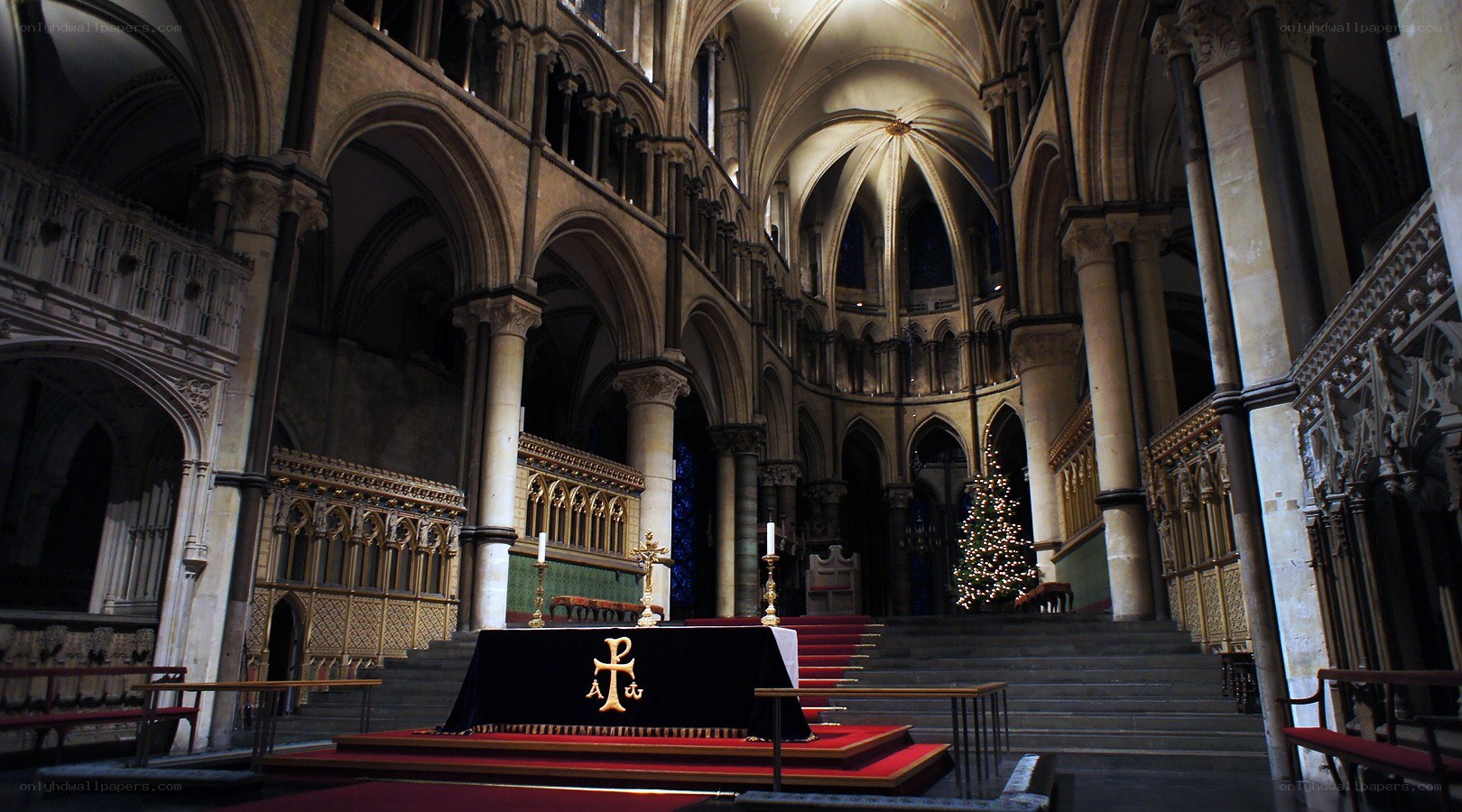 Cathedral interior with Christmas tree