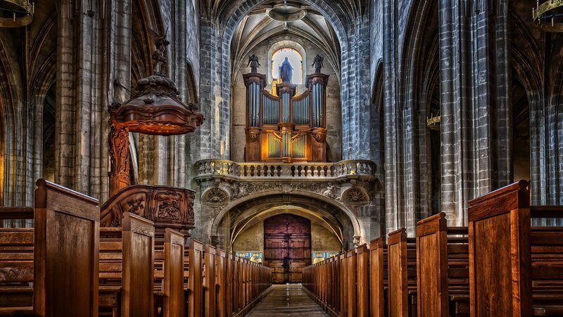 Cathedral Interior with Organ — Brown