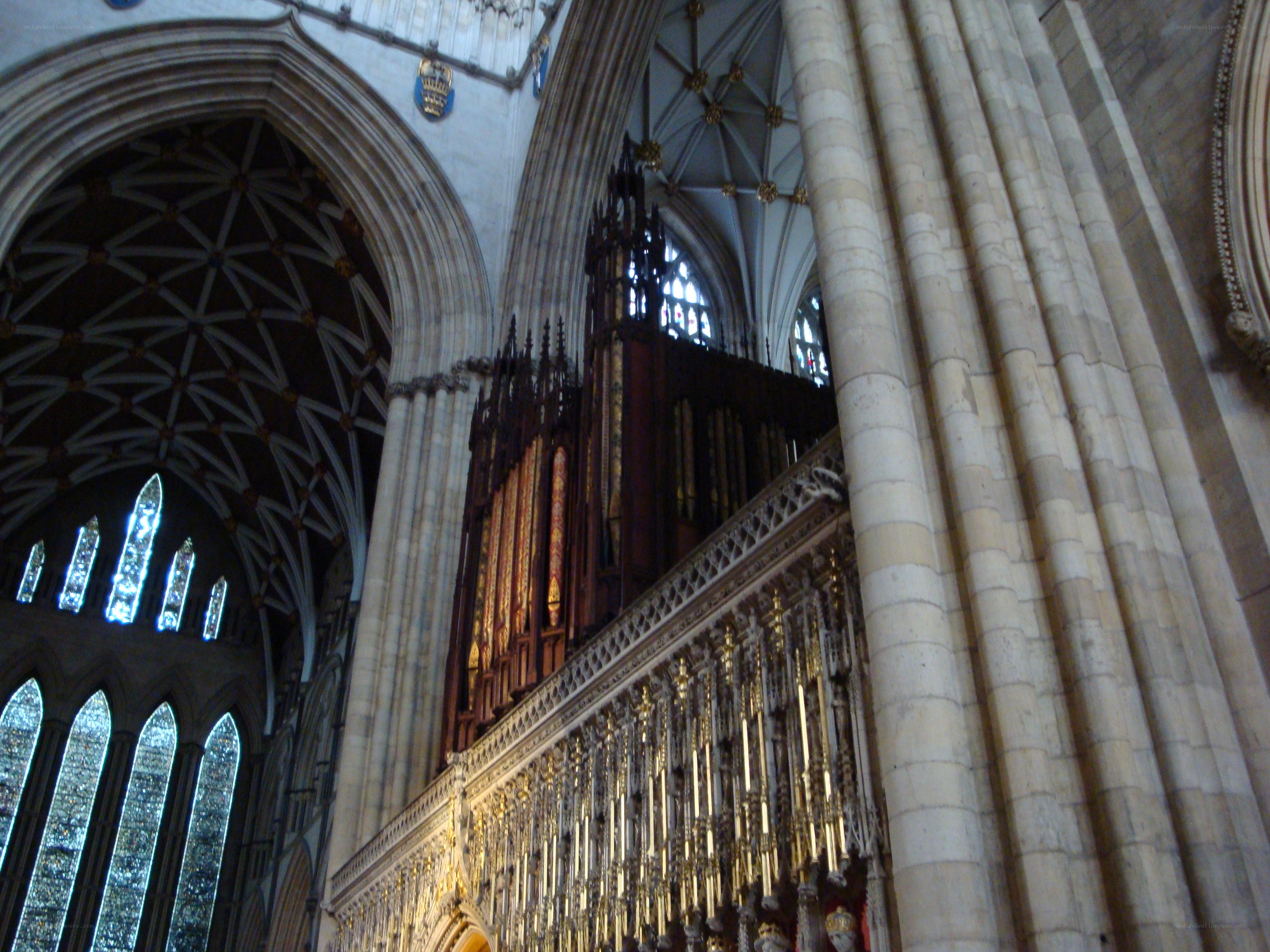 Cathedral organ and vaulted ceiling