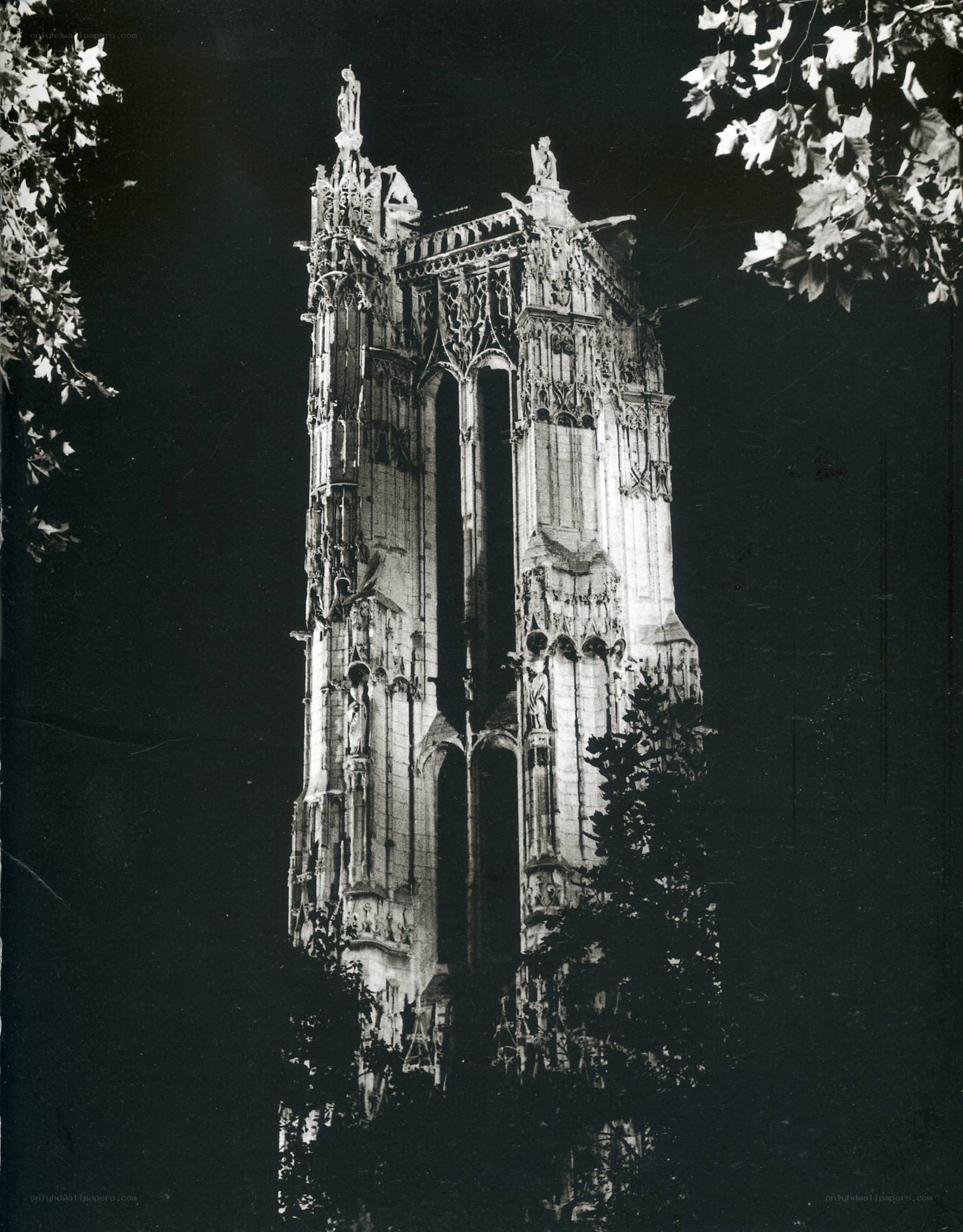 Cathedral tower at night