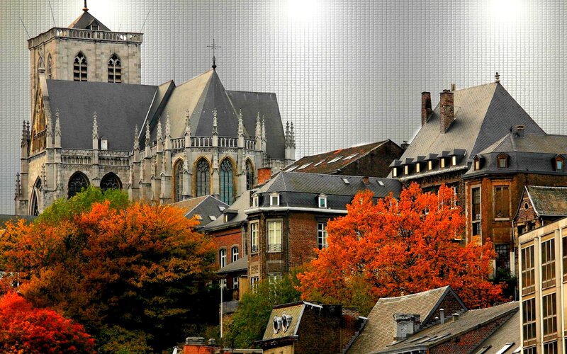 Cathedral with Autumn Trees